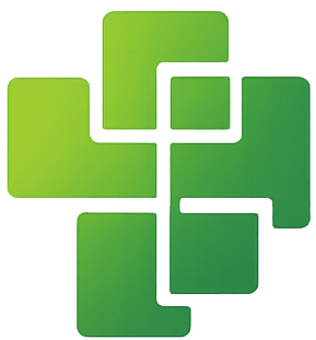 Custom Software Solutions Icon